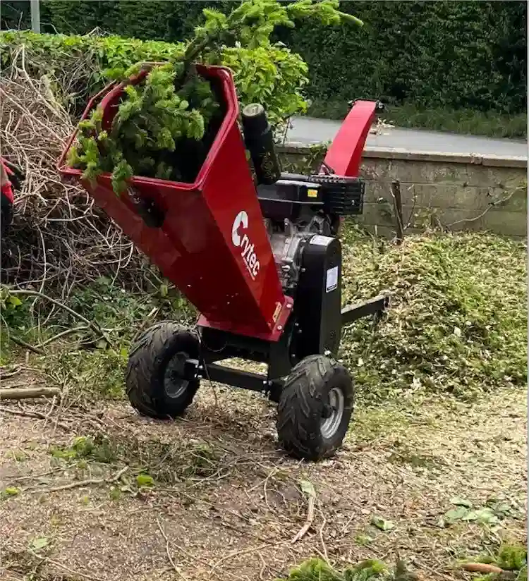 Garden clearance