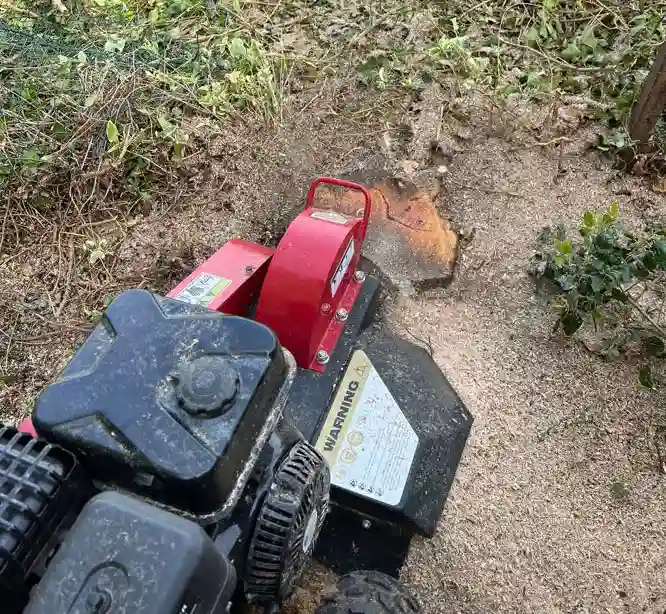 Stump grinding